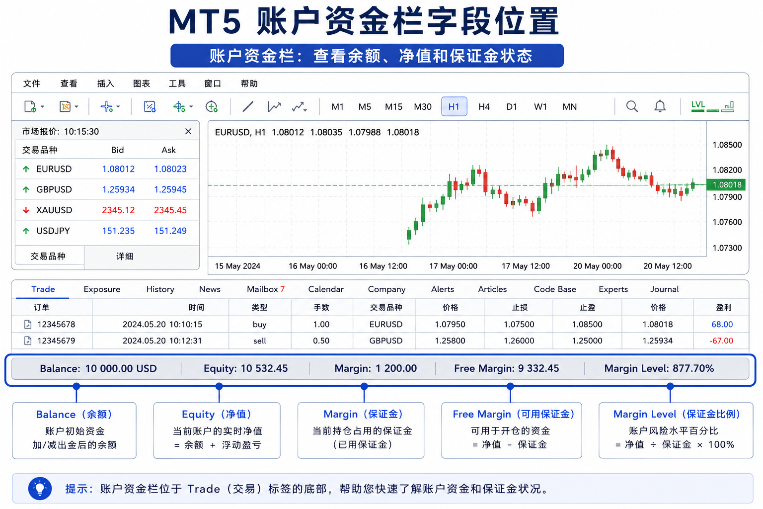 示意图：MT5 Toolbox 的 Trade 标签底部显示 Balance、Equity、Margin、Free Margin、Margin Level 等账户资金字段